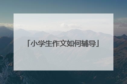 小学生作文如何辅导