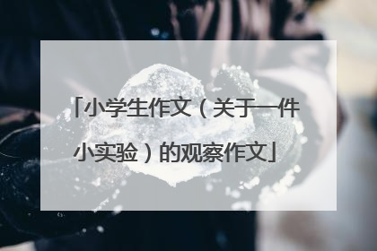 小学生作文(关于一件小实验)的观察作文