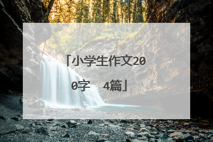 小学生作文200字  4篇