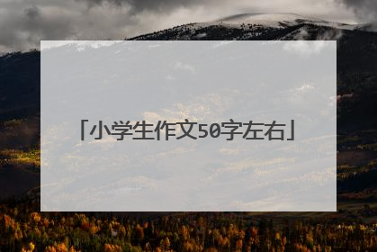 小学生作文50字左右