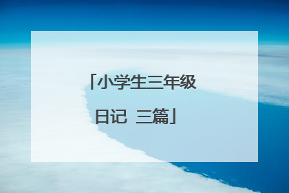 小学生三年级日记 三篇