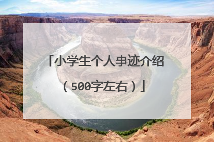 小学生个人事迹介绍（500字左右）