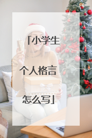 小学生个人格言怎么写