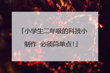 小学生二年级的科技小制作 必须简单点!