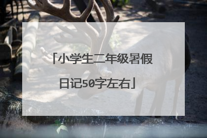 小学生二年级暑假日记50字左右