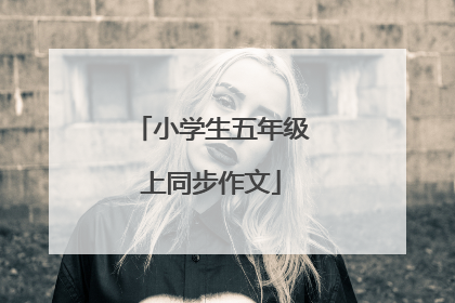 小学生五年级上同步作文