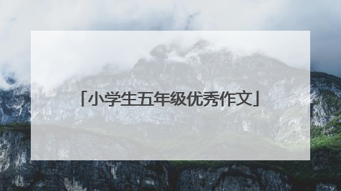 小学生五年级优秀作文