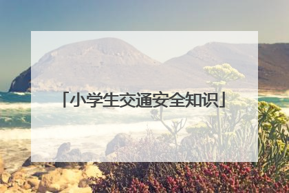 小学生交通安全知识