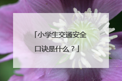 小学生交通安全口诀是什么？