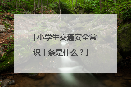 小学生交通安全常识十条是什么？