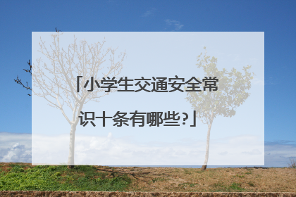 小学生交通安全常识十条有哪些?