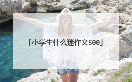 小学生什么迷作文500