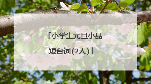 小学生元旦小品短台词(2人)