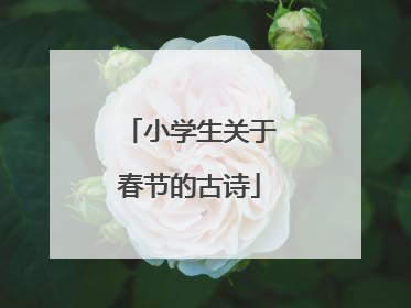小学生关于春节的古诗