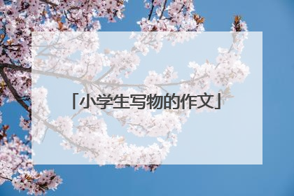 小学生写物的作文