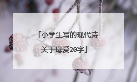 小学生写的现代诗关于母爱20字