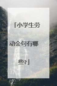 小学生劳动金句有哪些?
