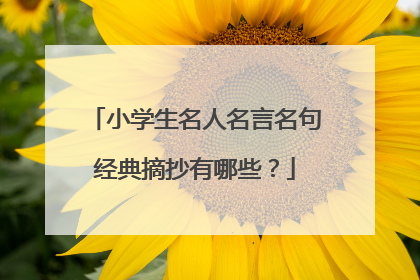 小学生名人名言名句经典摘抄有哪些?