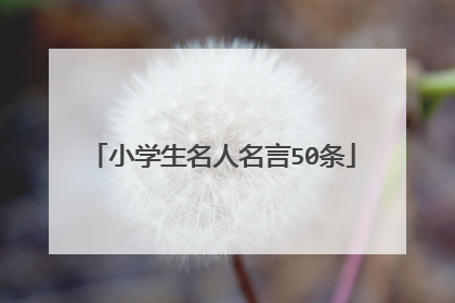 小学生名人名言50条