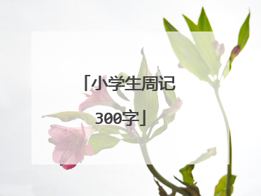 小学生周记300字