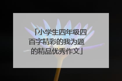 小学生四年级四百字精彩的我为题的精品优秀作文