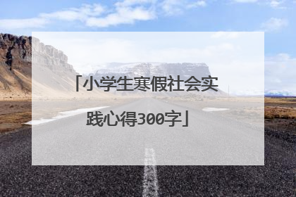 小学生寒假社会实践心得300字