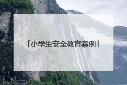 小学生安全教育案例