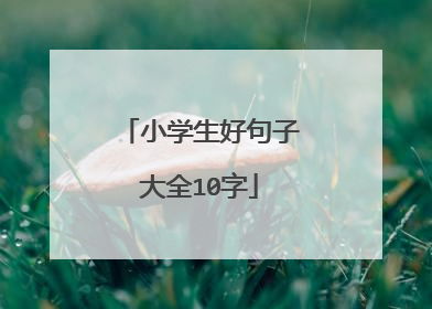 小学生好句子大全10字