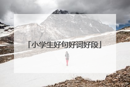 小学生好句好词好段