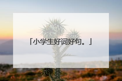 小学生好词好句。