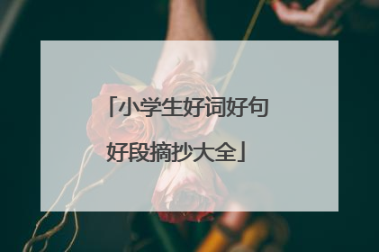 小学生好词好句好段摘抄大全