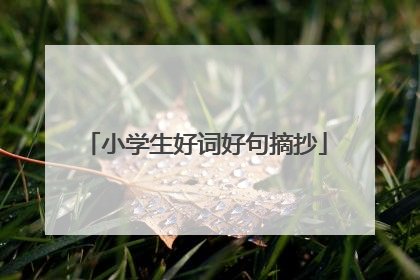 小学生好词好句摘抄