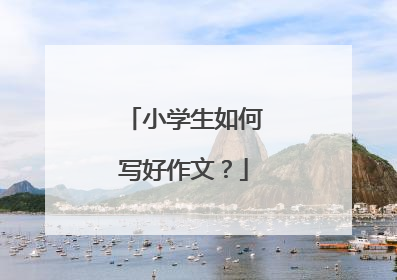 小学生如何写好作文?