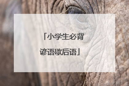 小学生必背谚语歇后语