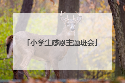 小学生感恩主题班会