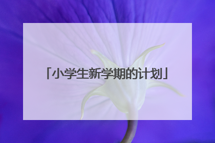 小学生新学期的计划