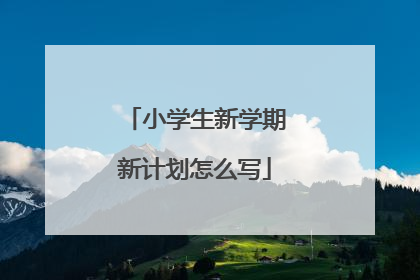 小学生新学期新计划怎么写