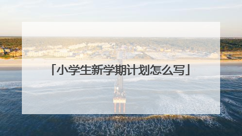 小学生新学期计划怎么写