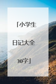 小学生日记大全30字