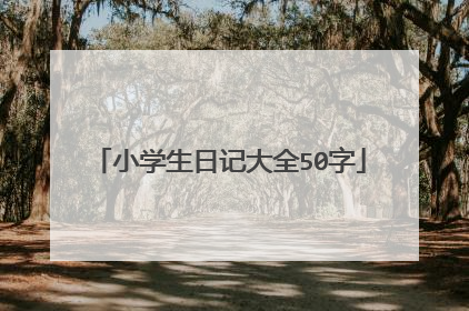 小学生日记大全50字