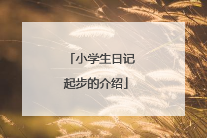 小学生日记起步的介绍