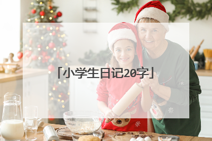 小学生日记20字