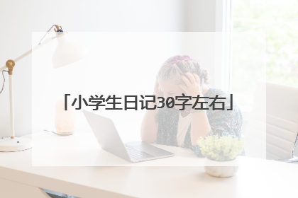 小学生日记30字左右