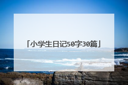 小学生日记50字30篇