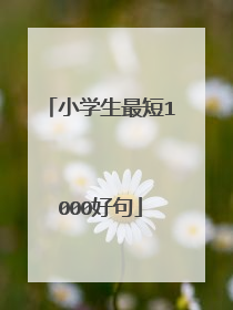 小学生最短1000好句