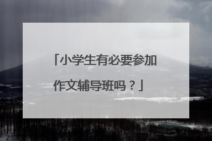 小学生有必要参加作文辅导班吗?