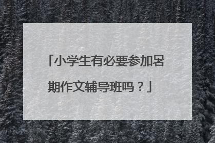 小学生有必要参加暑期作文辅导班吗？