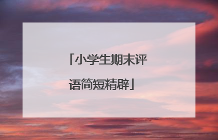 小学生期末评语简短精辟