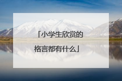 小学生欣赏的格言都有什么