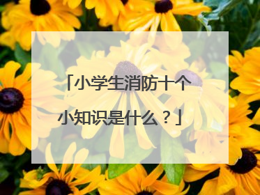 小学生消防十个小知识是什么?